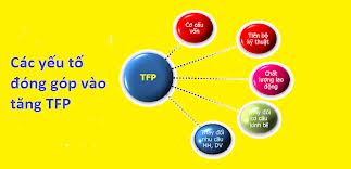 Năng suất nền kinh tế Việt Nam chưa xứng với tiềm năng